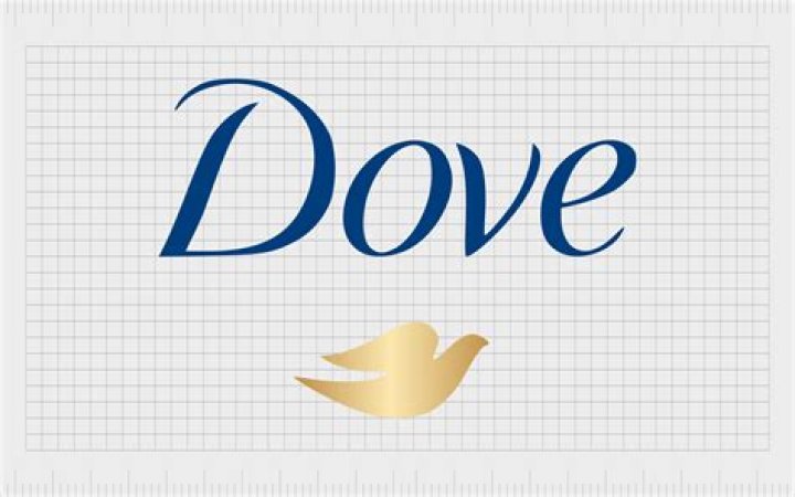 Sandra Dove Company Owner Dove's Light LinkedIn
