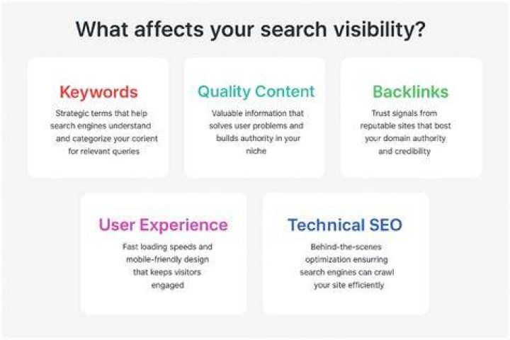 SEO Visibility Check