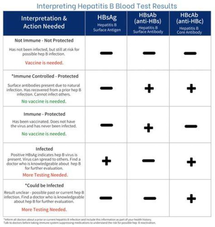 Should my hep B titer be positive or negative?