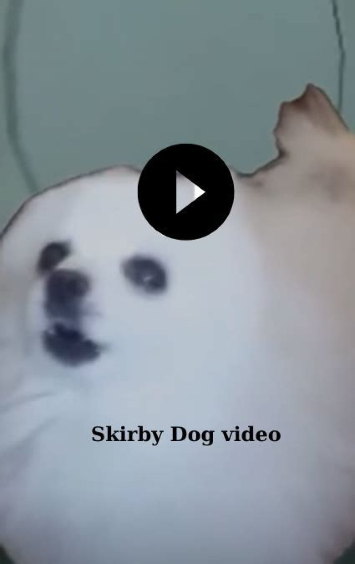 Skirby Dog Video Leaked On Twitter (Leaked Video)