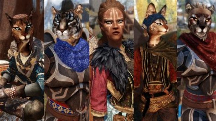 Skyrim khajiit race mod