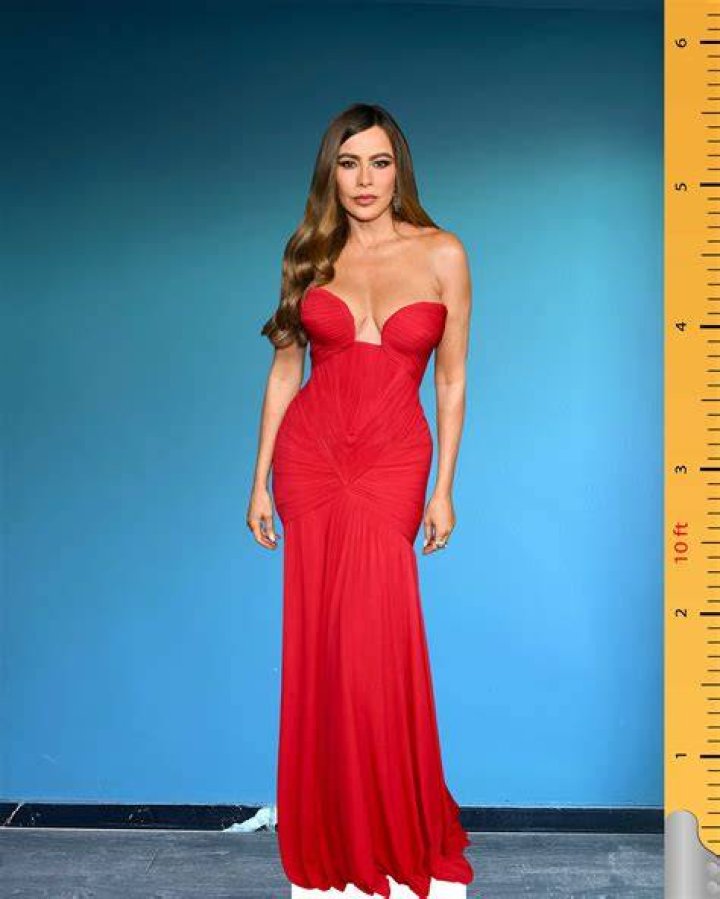 Sofia Vergara showcases figure in lowcut dress on special day HELLO!