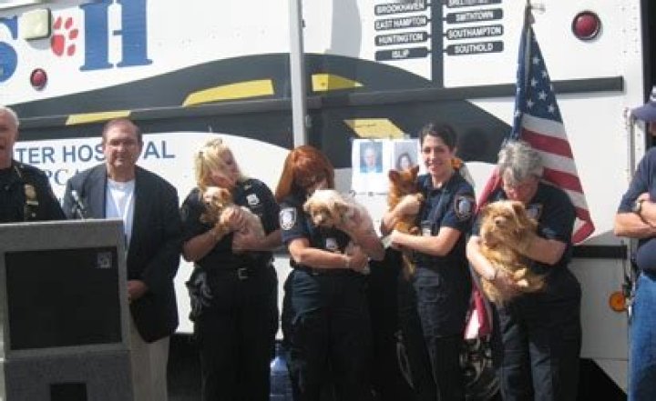 SPCA Couple Charged With Animal Cruelty, Over 100 Dogs Rescued Long