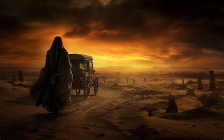 Surprising Revelations And Untold Stories