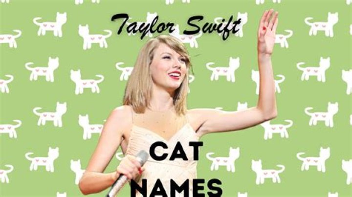 Taylor Swift cats&rsquo; names How many cats does T Swift&hellip;
