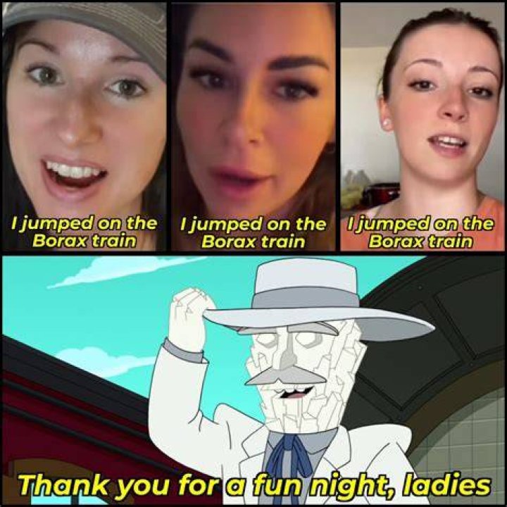 The Borax Kid reacts to the Borax trend r/futuramashitposting