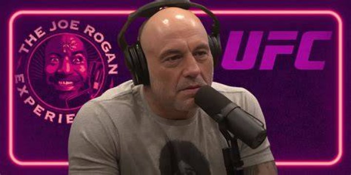 The Saga of Joe Rogan The New York Times