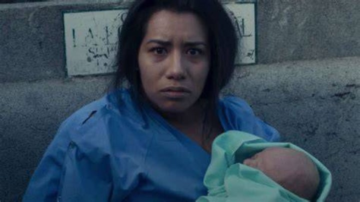 The Surrogacy cast All actors & characters Dexerto