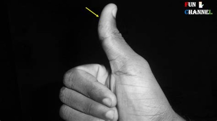 The Thumb Tells A Lot About Your Personality In Palmistry