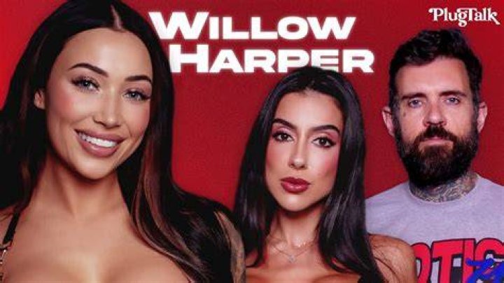 The "Willow Harper Leak" Revelations
