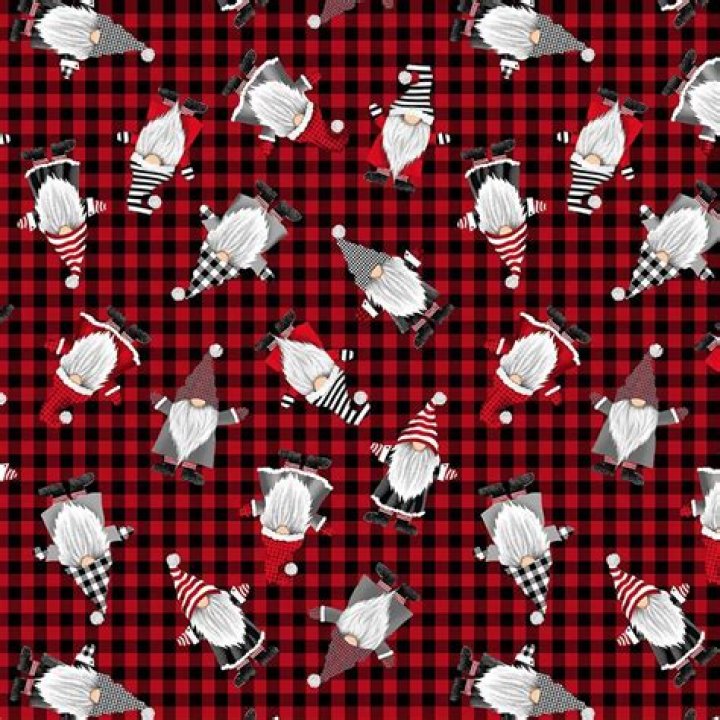 Timeless Treasures polyester minky red and black plaid modeS4u