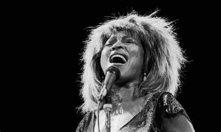 Tina Turner's children The untold life story of Turner's 4 children