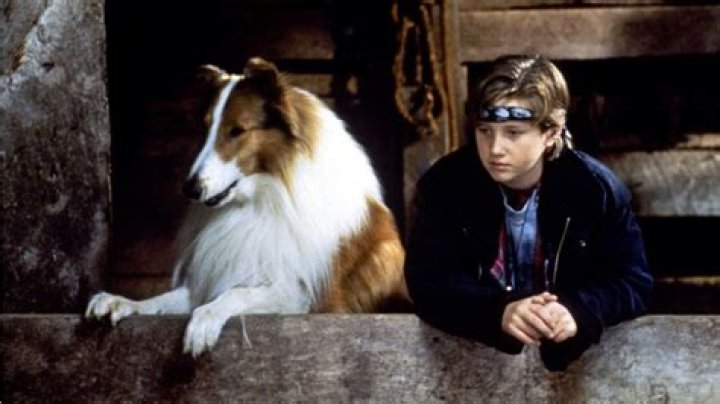 Tom in Lassie Tom Guiry Image (23523647) Fanpop