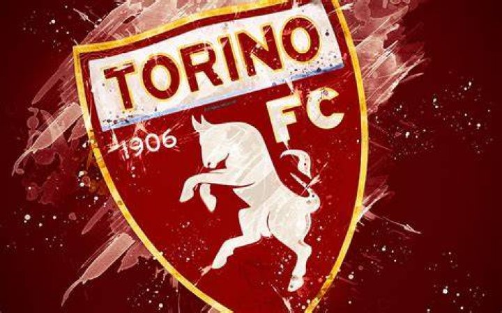 Torino FC paint art, creative, Italian football team, Serie A, logo