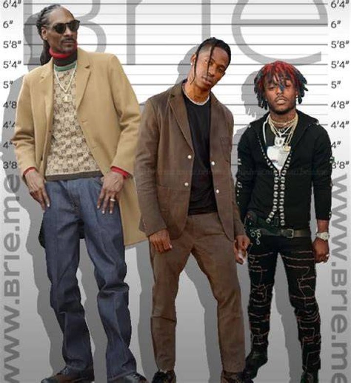 Travis Scott Height Brie