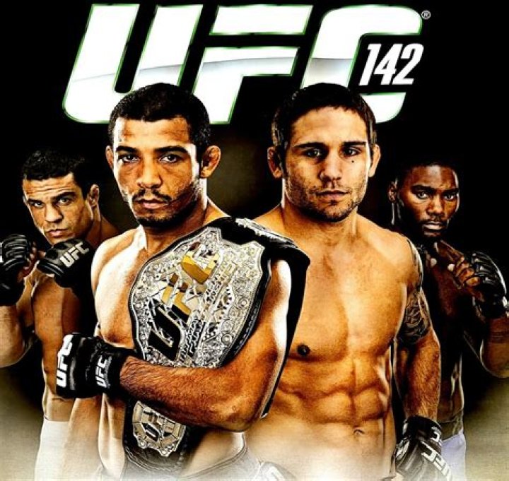 UFC 142 Results Clarifying The Rule On Strikes To The Back Of The Head