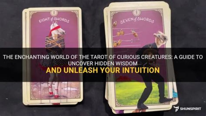 Uncover The Enchanting World Of Imagination