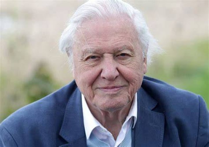 Uncover The Remarkable Net Worth And Legacy Of David Attenborough