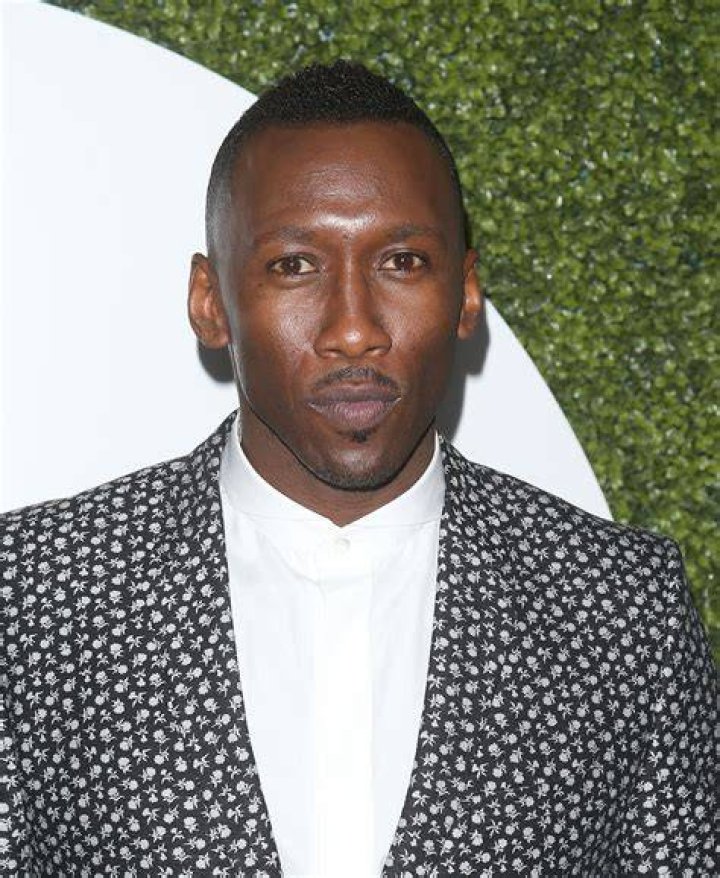 Uncover The Unseen: Mahershala Ali's Daughter And The Unveiled Journey Of Fatherhood