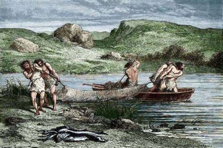 Uncovering New Insights And Surprising Discoveries