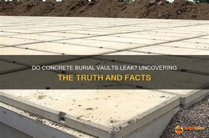 Uncovering The Truth And Consequences Of The Leak