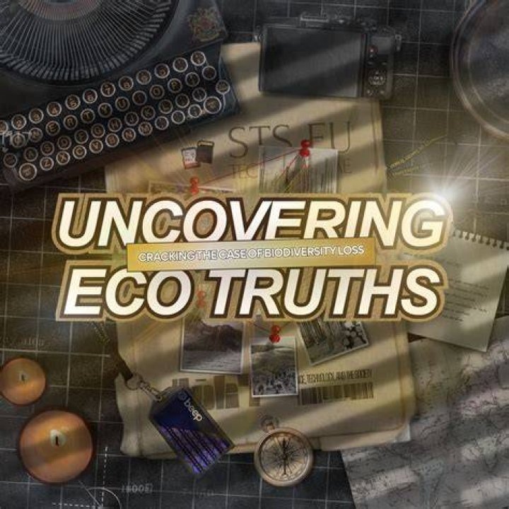 Uncovering Truths And Untangling Rumors