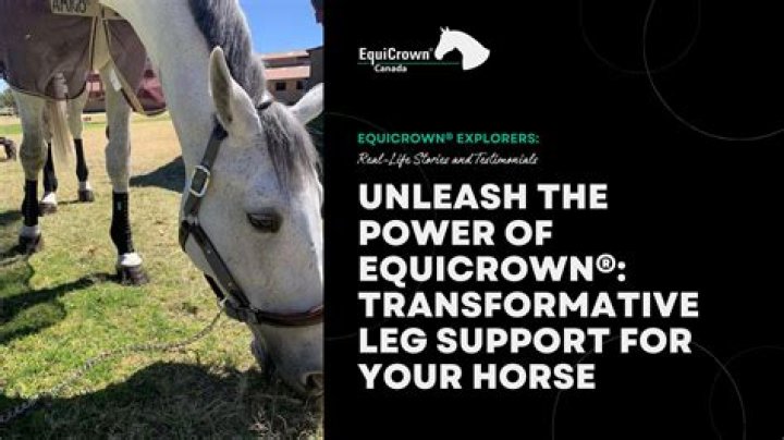 Unleash The Transformative Power Of "Turn Yourself Into A Horse"