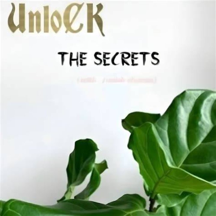 Unlock The Secrets: Matthew Rondeau's Age Revealed
