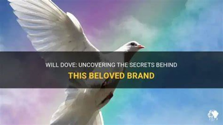 Unlock The Secrets Of Dove's Success: Uncovering The Visionary Founder