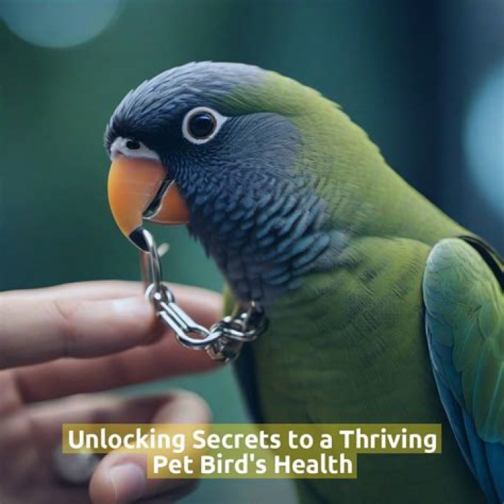 Unlocking The Secrets Of A Thriving Motherhood