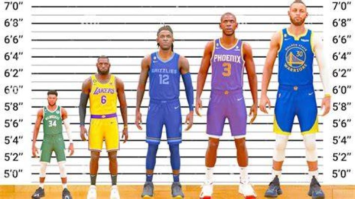 Unlocking The Secrets Of Basketball Player Height