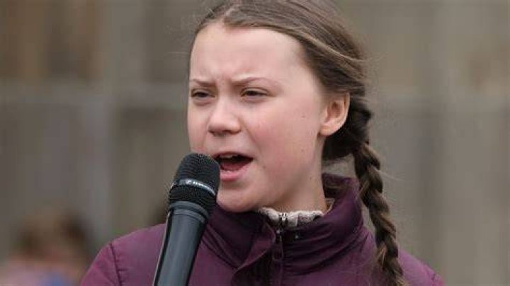 Unveiling Greta Thunberg's Net Worth: Surprising Revelations