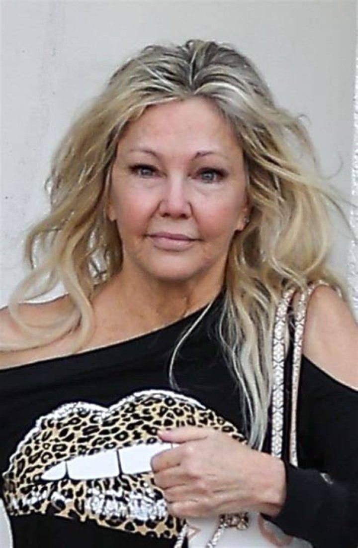 Unveiling Heather Locklear's Style And Star Power At "Don T"
