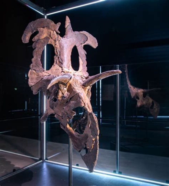 Unveiling John Hutcherson's Height: Discoveries And Insights