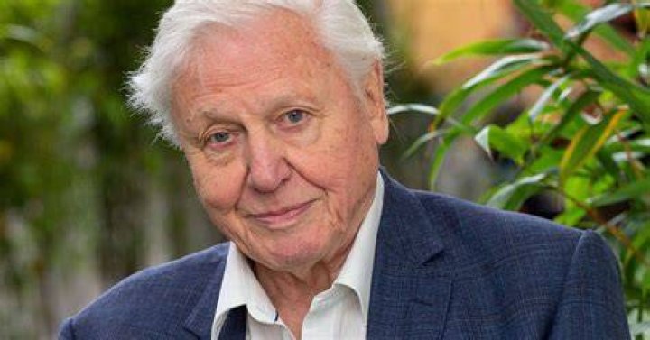 Unveiling Sir David Attenborough's Net Worth: Exclusive Insights