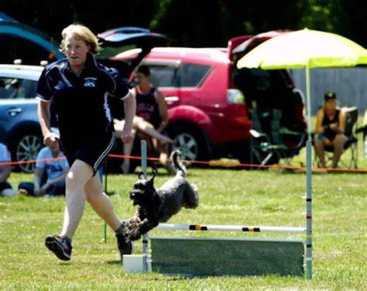 Unveiling The Canine Training Expertise Of Brandi Canterbury
