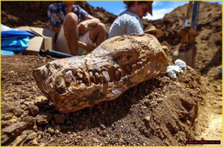 Unveiling The Enigma Of "La Chimultrufia": Discoveries And Insights