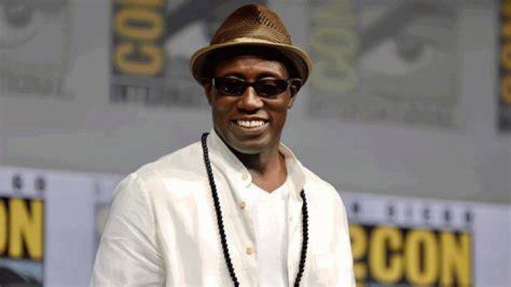 Unveiling The Enigma Of Wesley Snipes: His Rise To Stardom