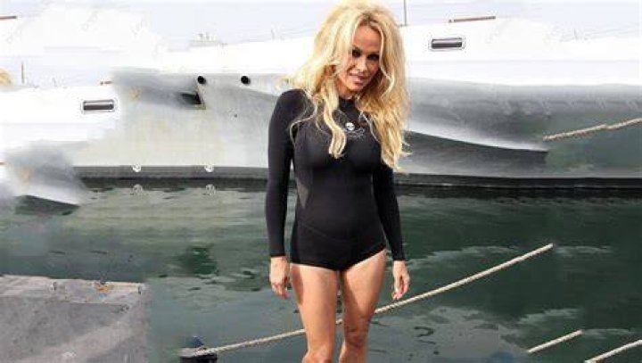 Unveiling The Enigmatic World Of Pamela Bardot's Height