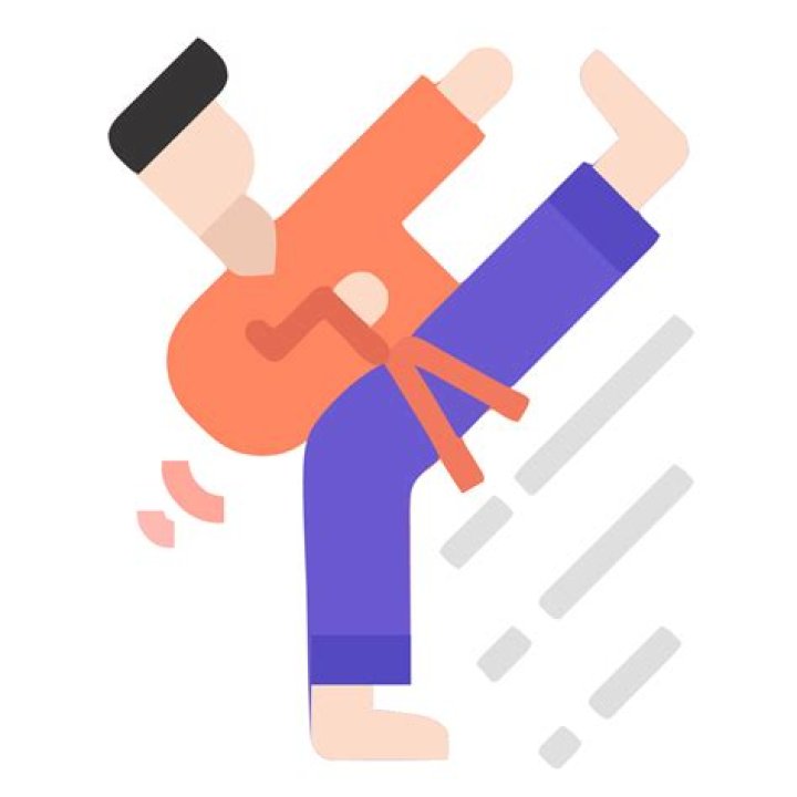 Unveiling The Martial Arts Icon's Fortune