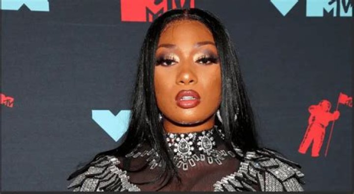 Unveiling The Private Life Of Megan Thee Stallion: Children And Beyond