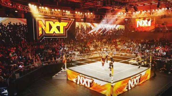 Unveiling The Rising Star Of NXT