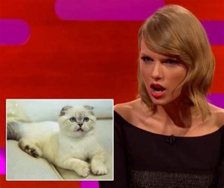 Unveiling The Secrets Behind Taylor Swift's Beloved Cat Names