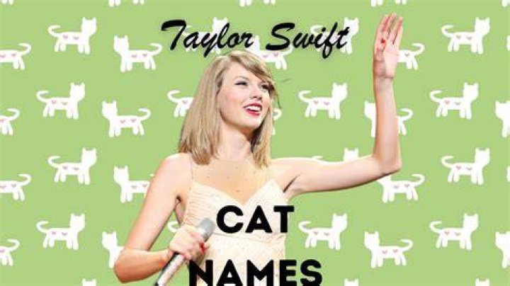 Unveiling The Secrets Behind Taylor Swift's Cats' Captivating Names