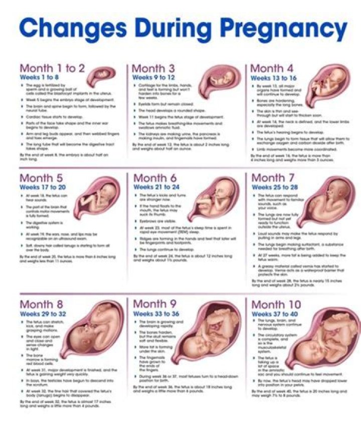Unveiling The Secrets: Delena's Pregnancy Journey Explored
