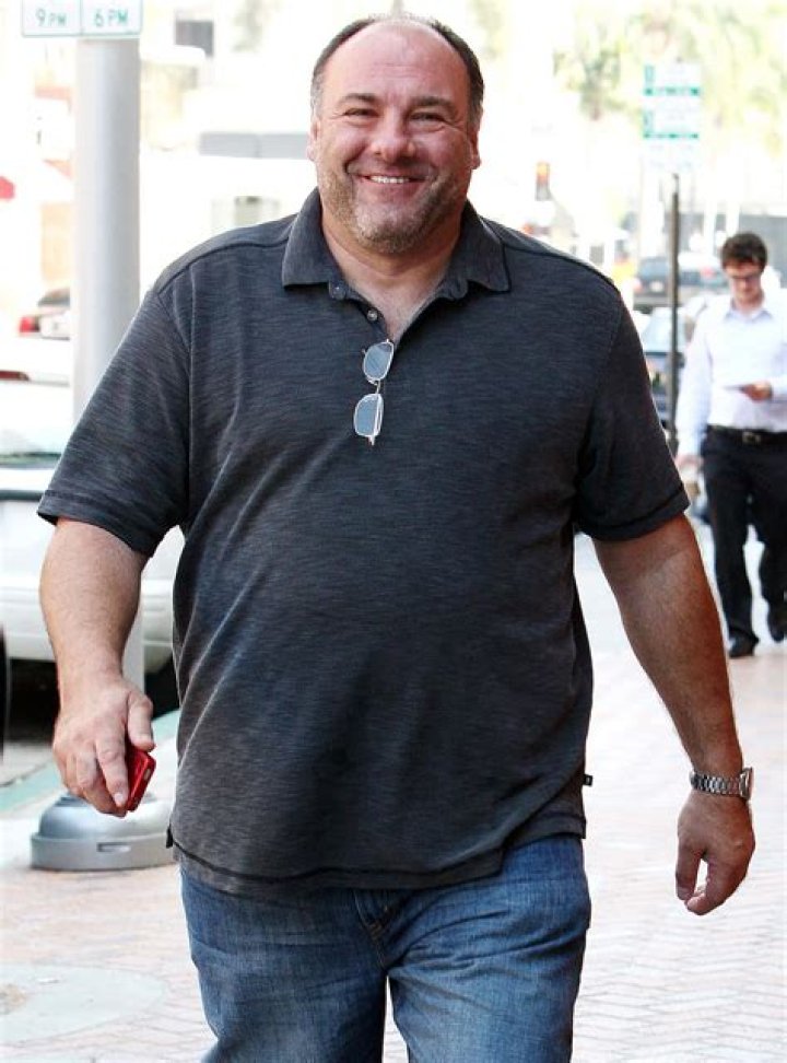 Unveiling The Secrets Of James Gandolfini's Commanding Physique