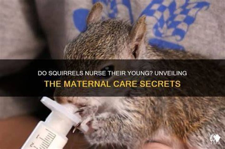 Unveiling The Secrets Of Nurse Graduation Wishes: Discoveries And Insights Await