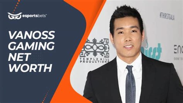 VanossGaming Net Worth VanossGaming Net Worth