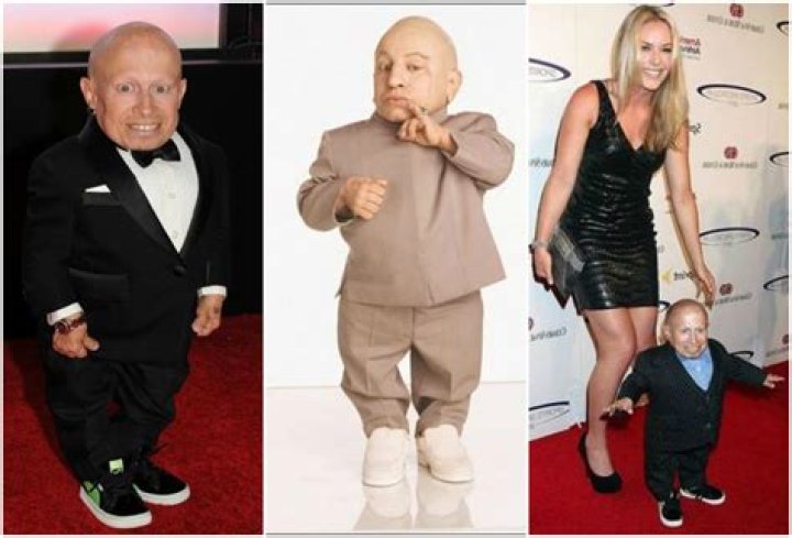 Verne Troyer Biography, Height & Life Story Super Stars Bio