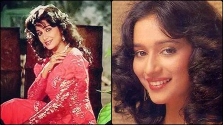 VIDEO This lookalike of Madhuri Dixit created a buzz, husband Shri Ram